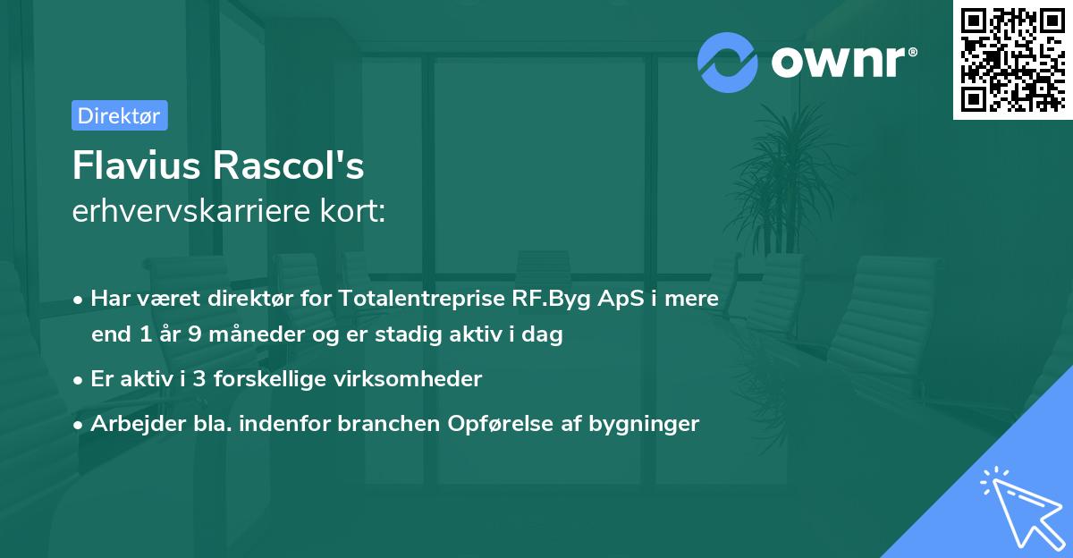 Flavius Rascol's erhvervskarriere kort