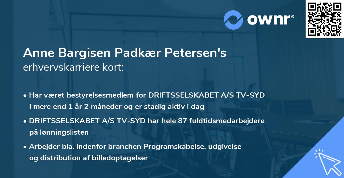 Anne Bargisen Padkær Petersen's erhvervskarriere kort
