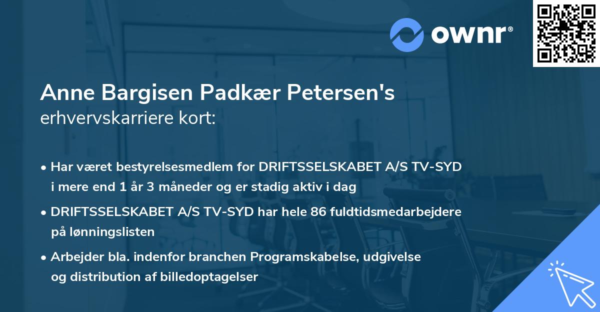 Anne Bargisen Padkær Petersen's erhvervskarriere kort
