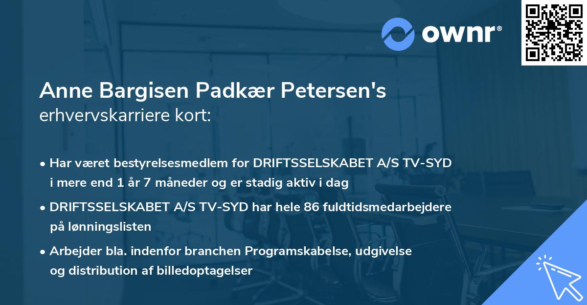 Anne Bargisen Padkær Petersen's erhvervskarriere kort