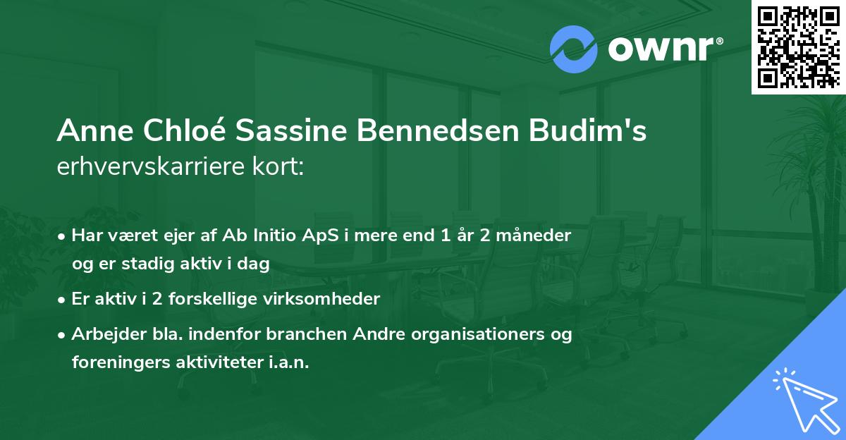 Anne Chloé Sassine Bennedsen Budim's erhvervskarriere kort