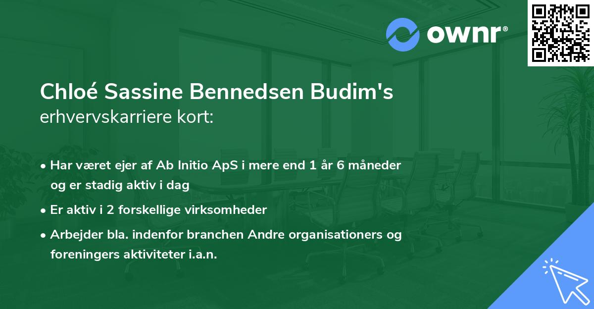 Chloé Sassine Bennedsen Budim's erhvervskarriere kort
