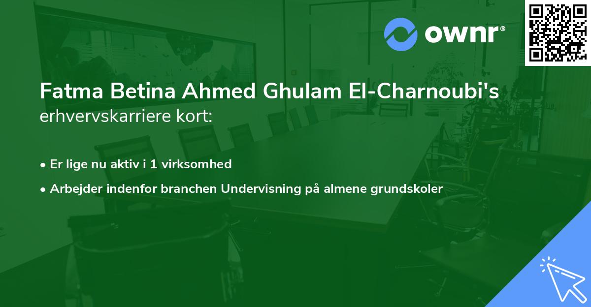 Fatma Betina Ahmed Ghulam El-Charnoubi's erhvervskarriere kort