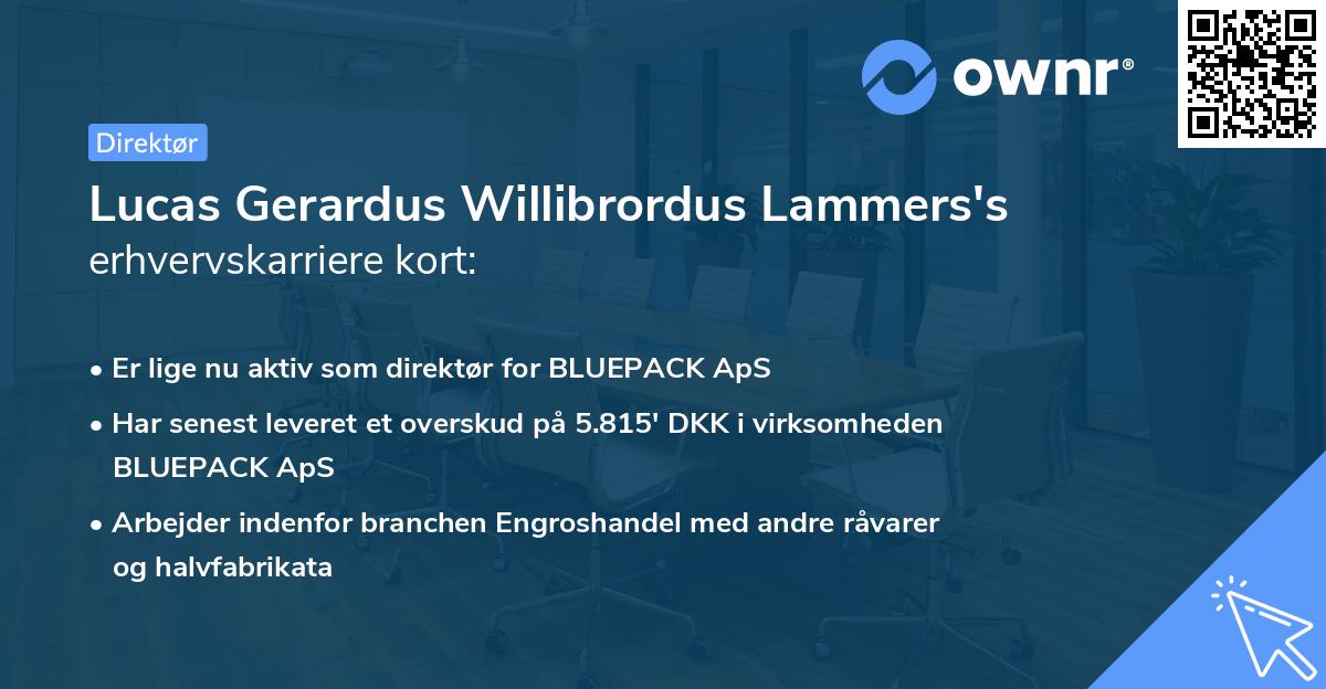 Lucas Gerardus Willibrordus Lammers's erhvervskarriere kort