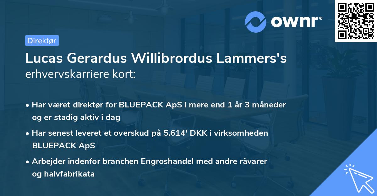 Lucas Gerardus Willibrordus Lammers's erhvervskarriere kort