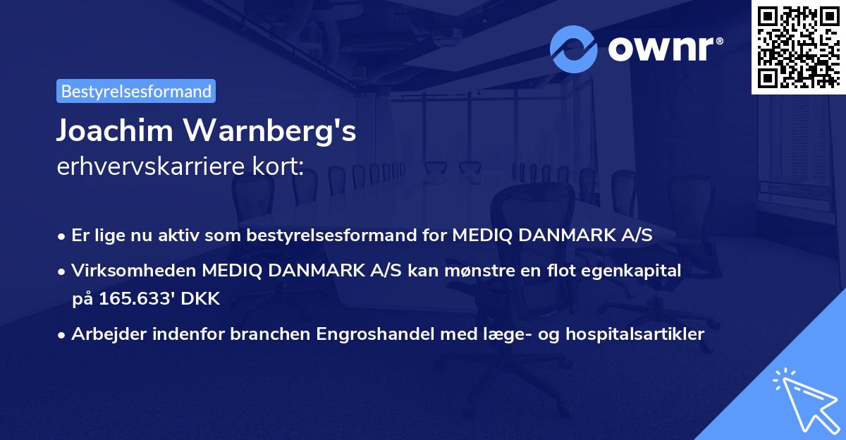 Joachim Warnberg's erhvervskarriere kort