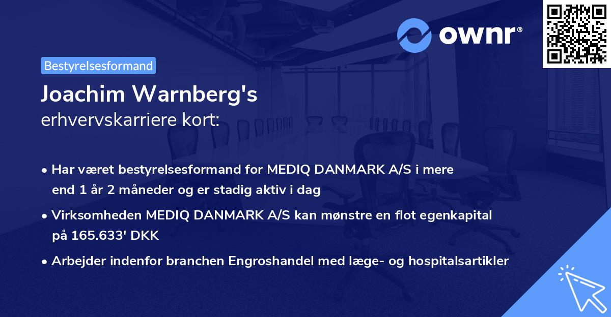 Joachim Warnberg's erhvervskarriere kort