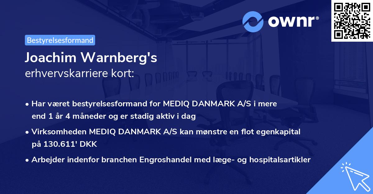 Joachim Warnberg's erhvervskarriere kort