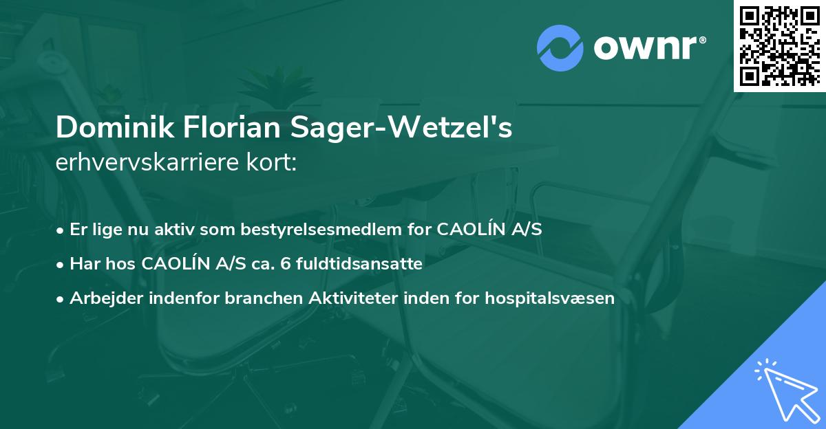 Dominik Florian Sager-Wetzel's erhvervskarriere kort