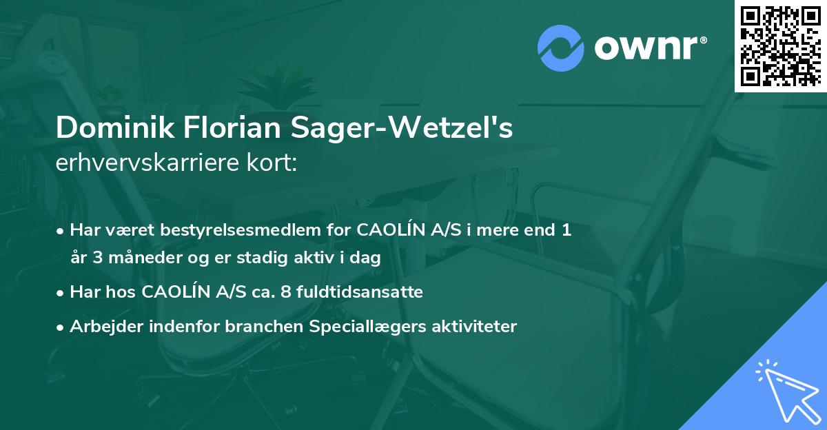 Dominik Florian Sager-Wetzel's erhvervskarriere kort