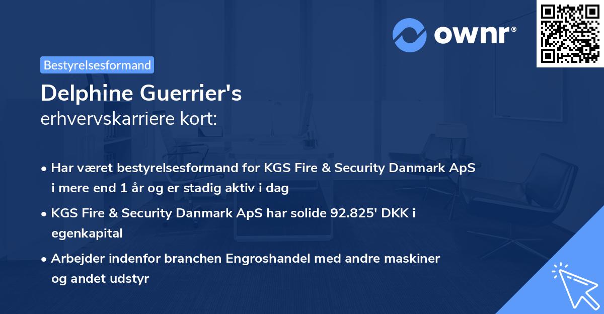 Delphine Guerrier's erhvervskarriere kort