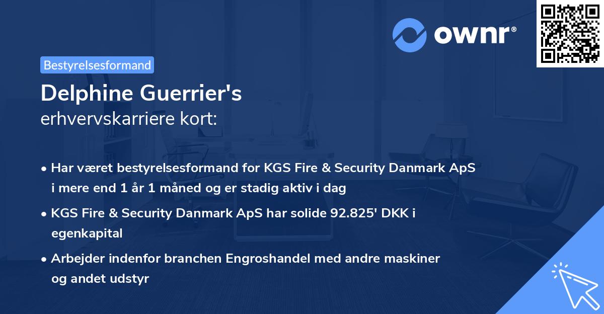Delphine Guerrier's erhvervskarriere kort