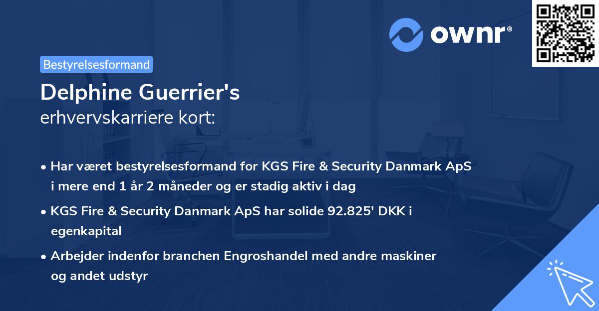 Delphine Guerrier's erhvervskarriere kort