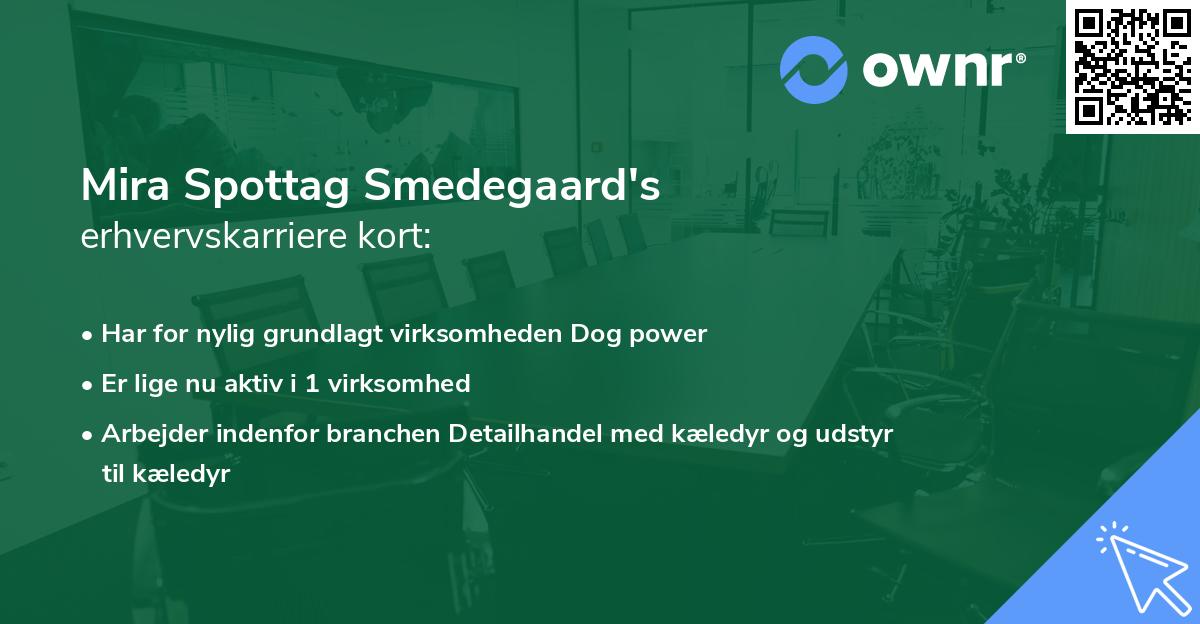 Mira Spottag Smedegaard's erhvervskarriere kort