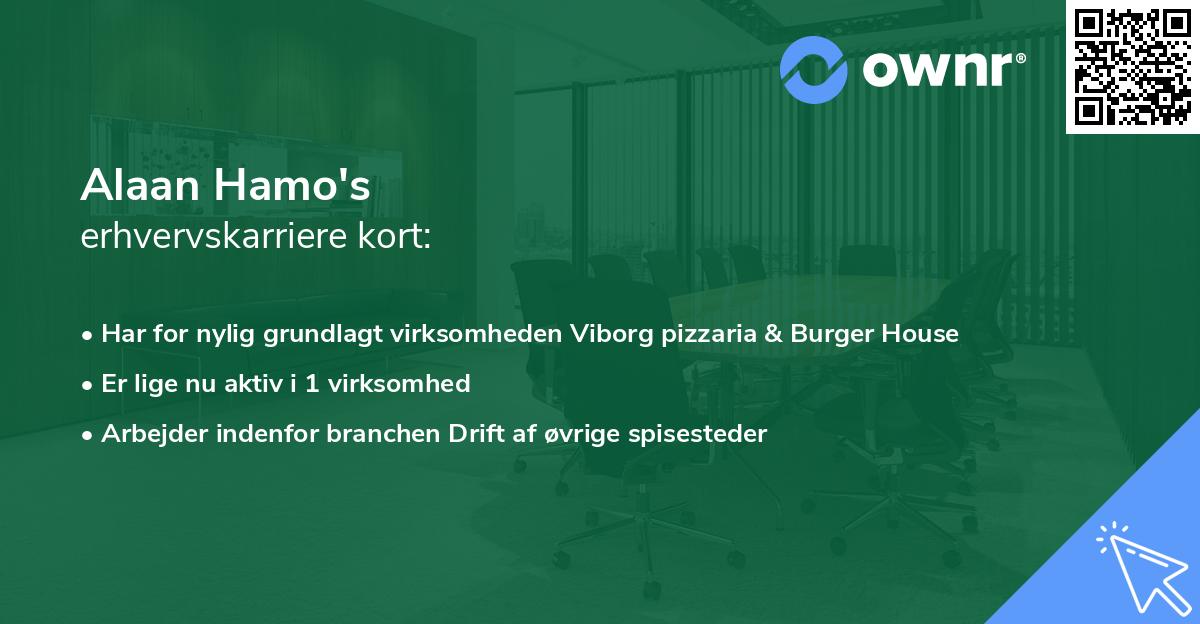 Alaan Hamo's erhvervskarriere kort