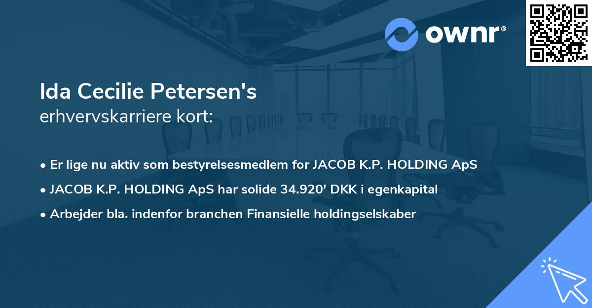 Ida Cecilie Petersen's erhvervskarriere kort
