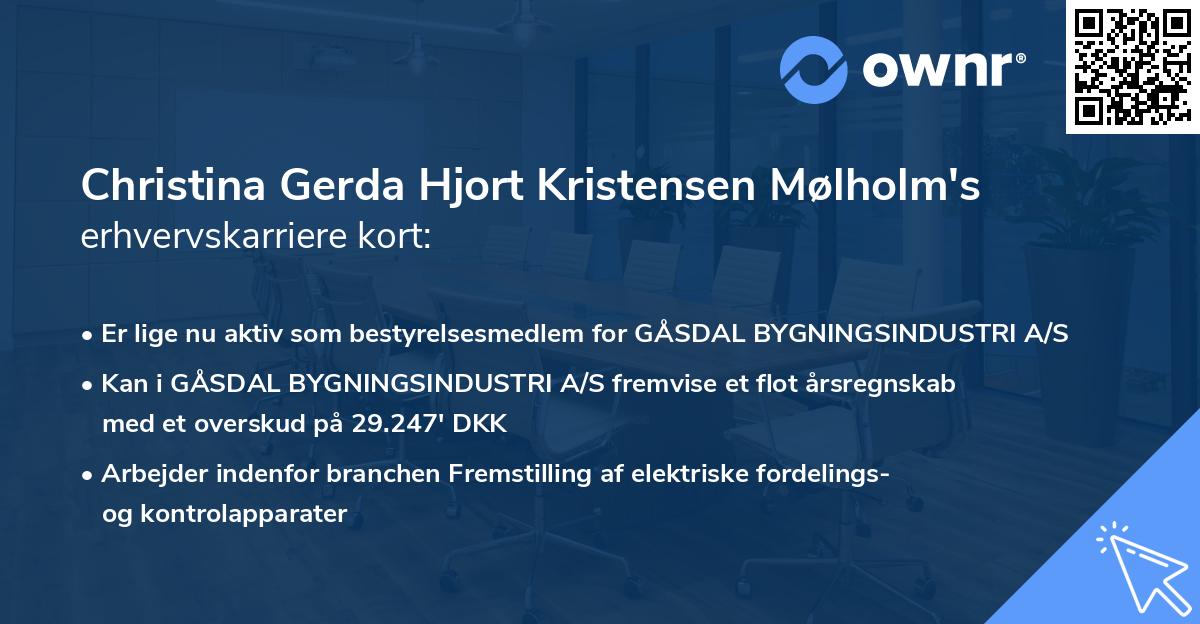 Christina Gerda Hjort Kristensen Mølholm's erhvervskarriere kort