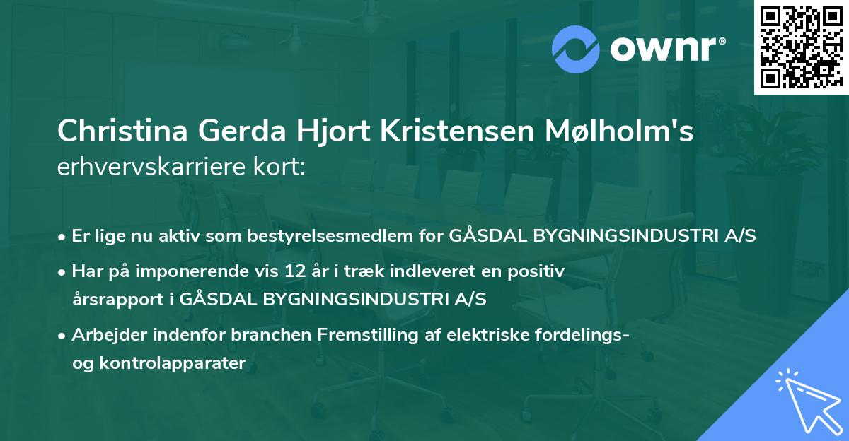 Christina Gerda Hjort Kristensen Mølholm's erhvervskarriere kort