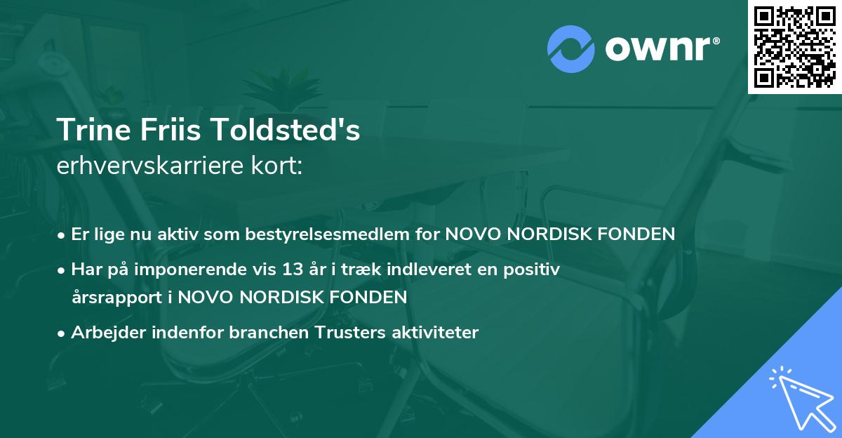 Trine Friis Toldsted's erhvervskarriere kort