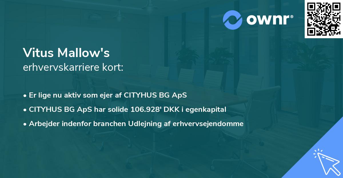 Vitus Mallow's erhvervskarriere kort