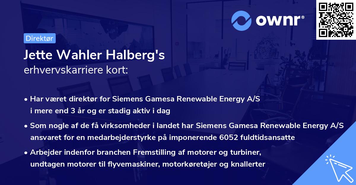 Jette Wahler Halberg's erhvervskarriere kort