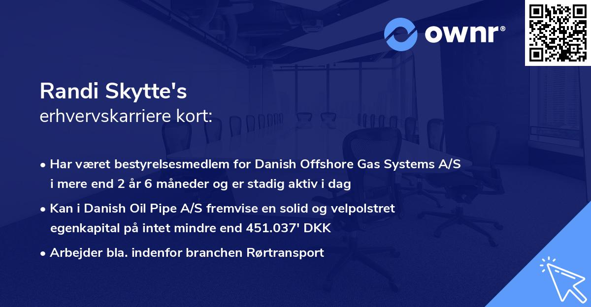 Randi Skytte's erhvervskarriere kort