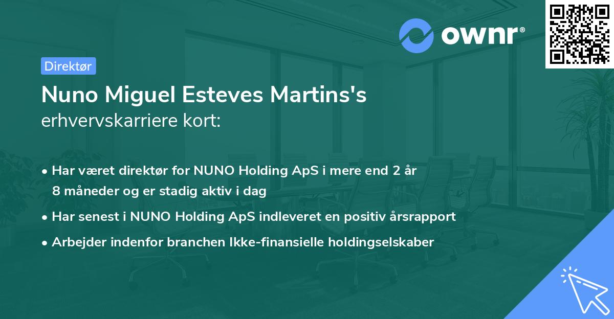 Nuno Miguel Esteves Martins's erhvervskarriere kort