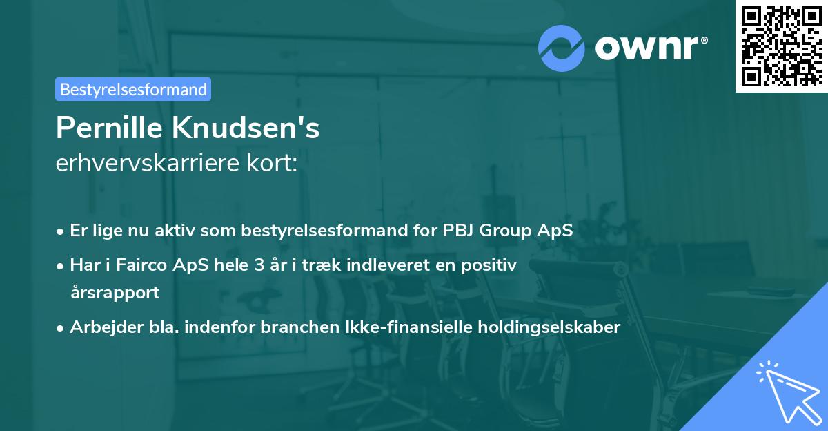 Pernille Knudsen's erhvervskarriere kort
