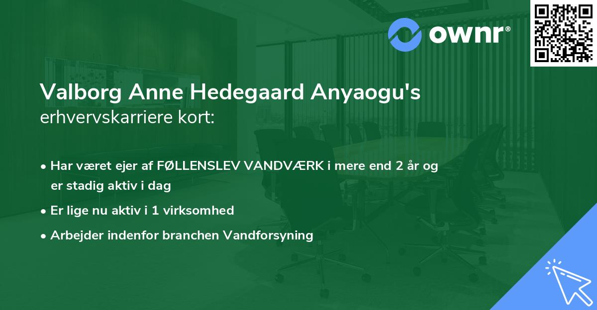 Valborg Anne Hedegaard Anyaogu's erhvervskarriere kort