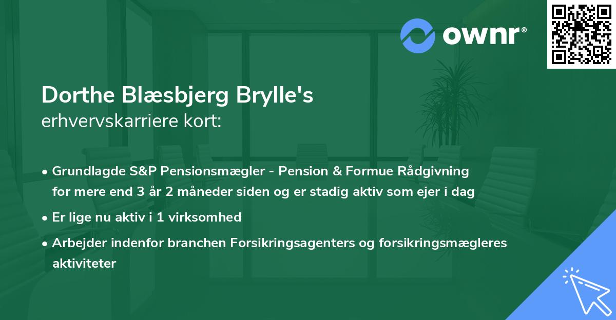 Dorthe Blæsbjerg Brylle's erhvervskarriere kort