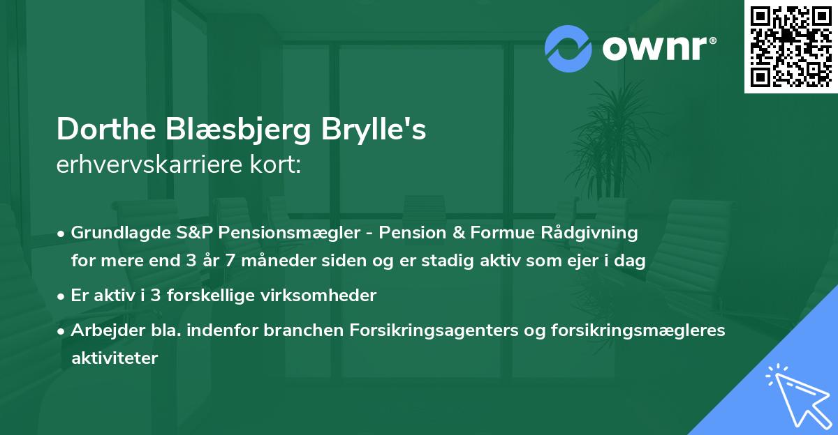 Dorthe Blæsbjerg Brylle's erhvervskarriere kort
