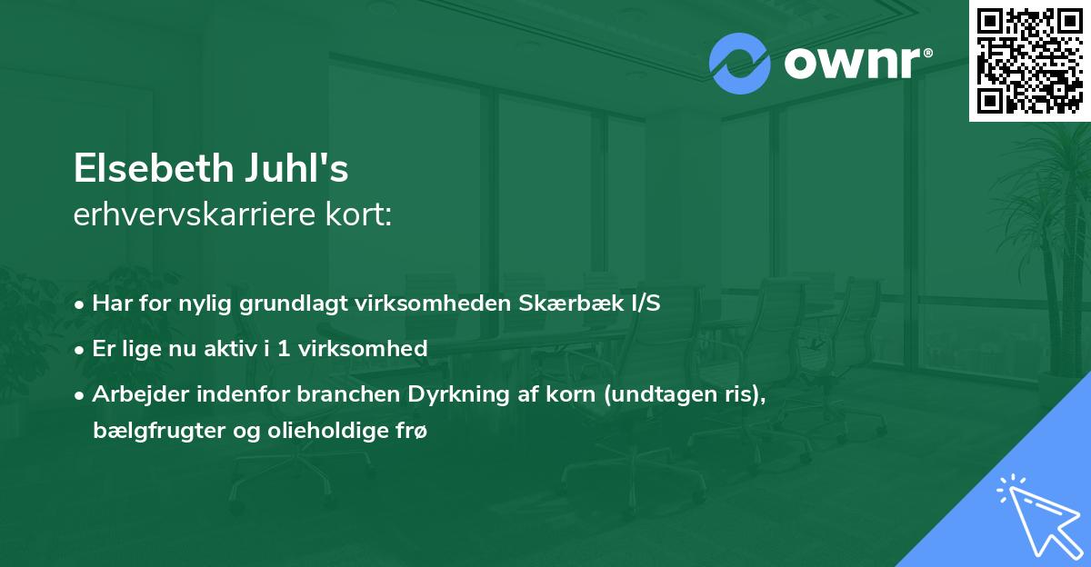 Elsebeth Juhl's erhvervskarriere kort