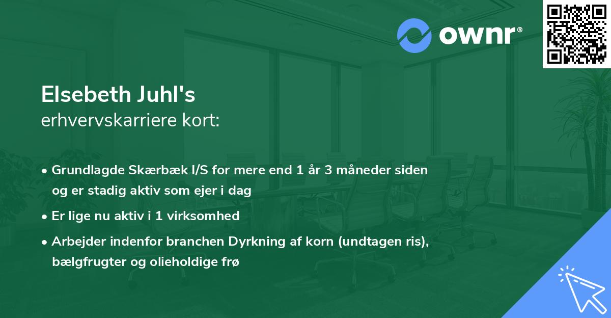 Elsebeth Juhl's erhvervskarriere kort