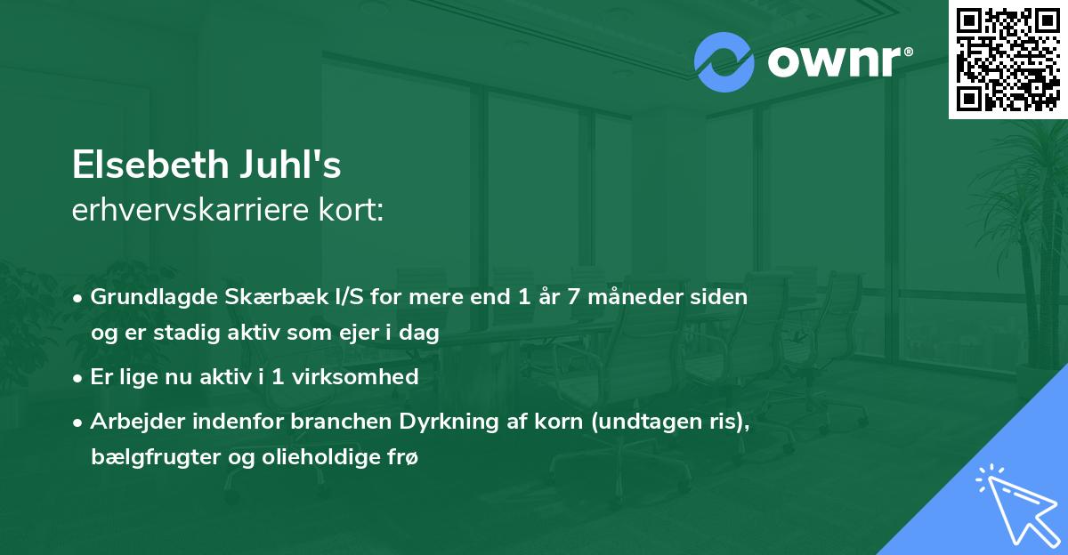 Elsebeth Juhl's erhvervskarriere kort