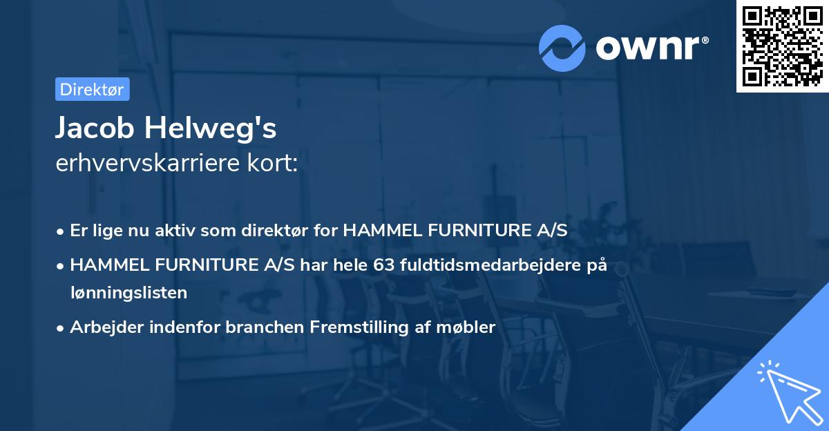 Jacob Helweg's erhvervskarriere kort