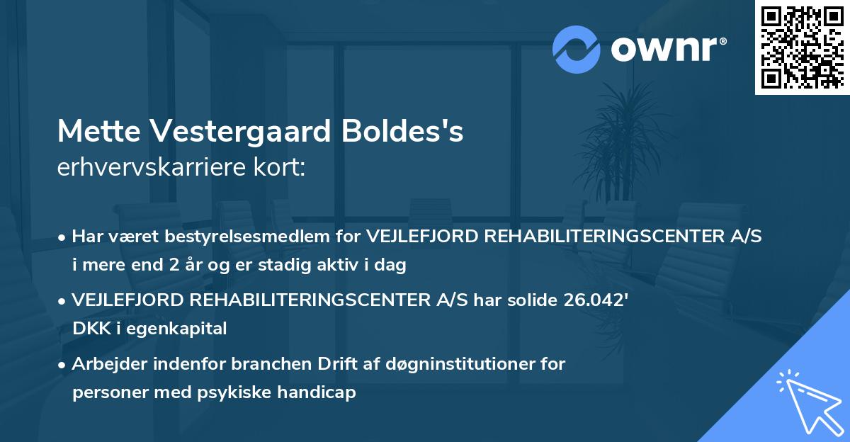 Mette Vestergaard Boldes's erhvervskarriere kort