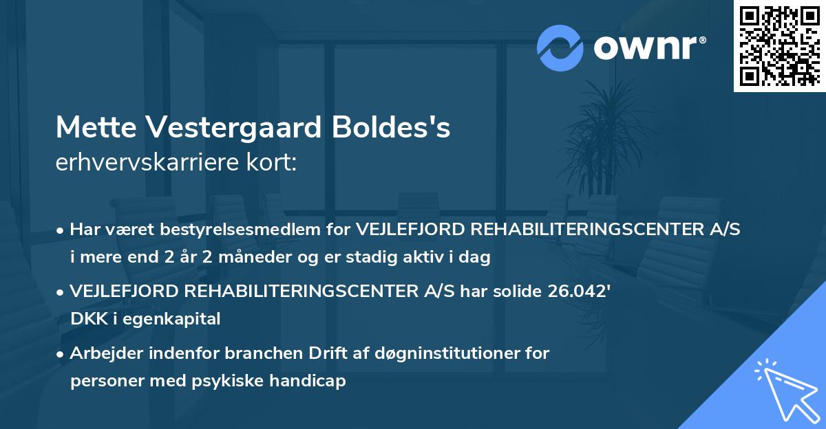 Mette Vestergaard Boldes's erhvervskarriere kort