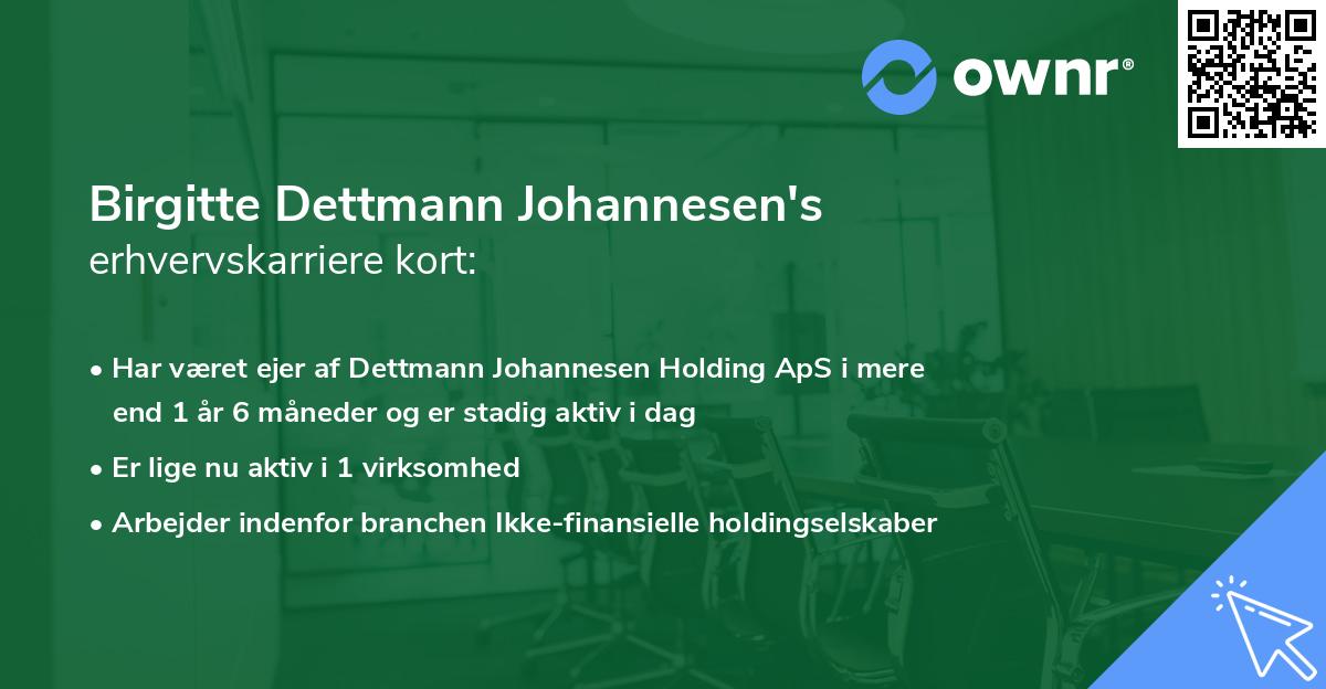 Birgitte Dettmann Johannesen's erhvervskarriere kort