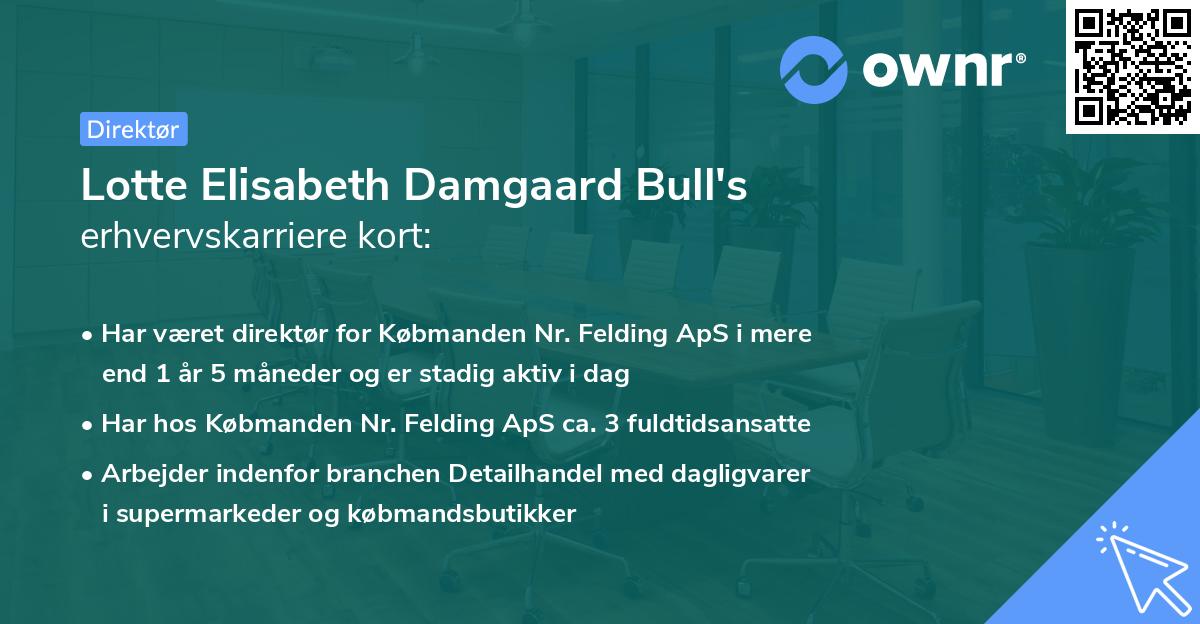 Lotte Elisabeth Damgaard Bull's erhvervskarriere kort