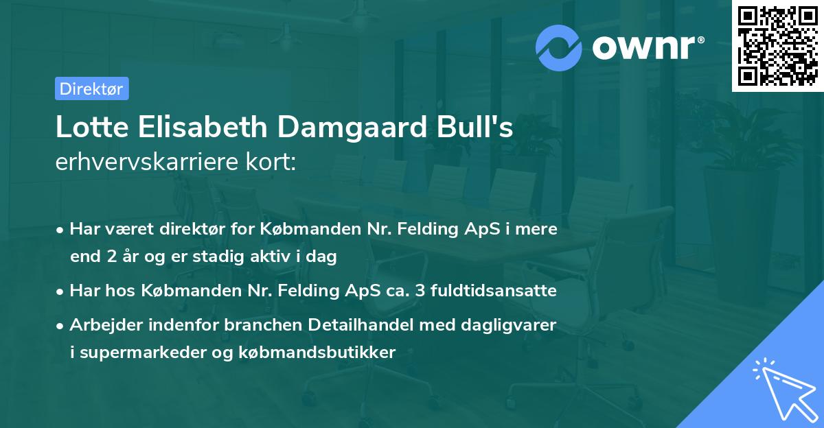 Lotte Elisabeth Damgaard Bull's erhvervskarriere kort