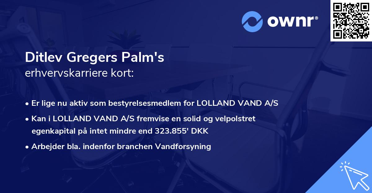 Ditlev Gregers Palm's erhvervskarriere kort