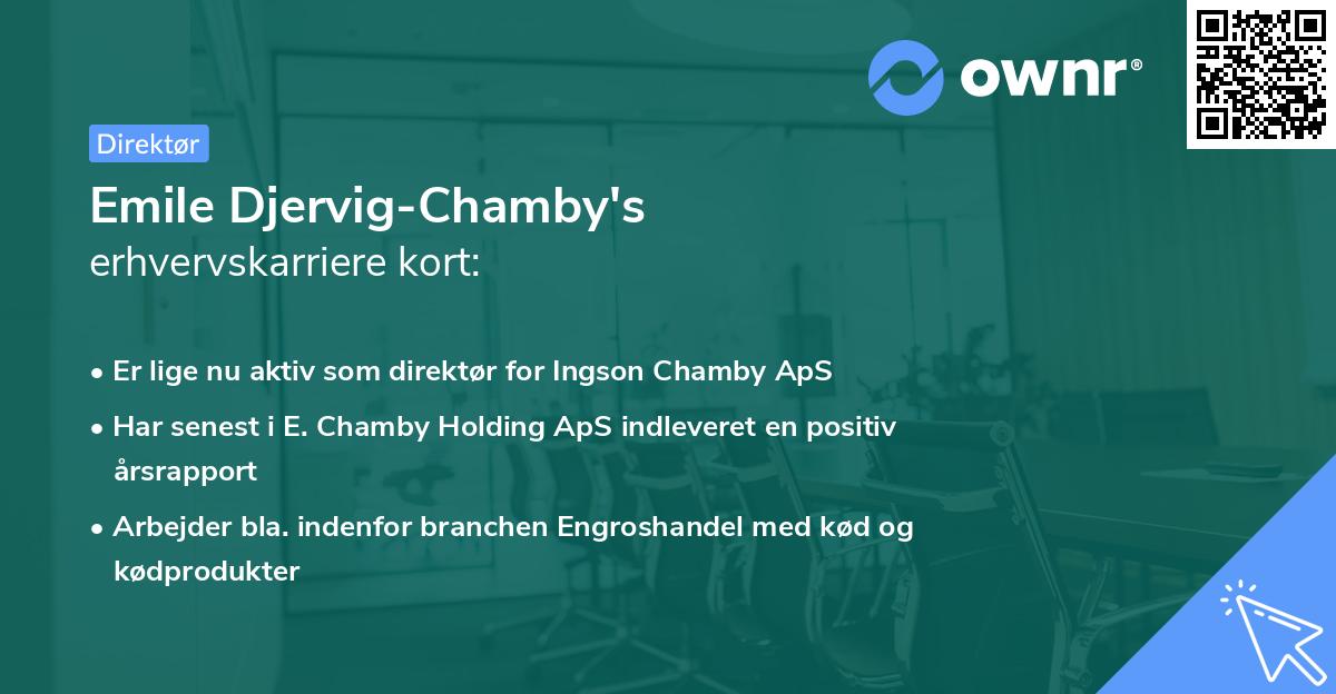 Emile Djervig-Chamby's erhvervskarriere kort