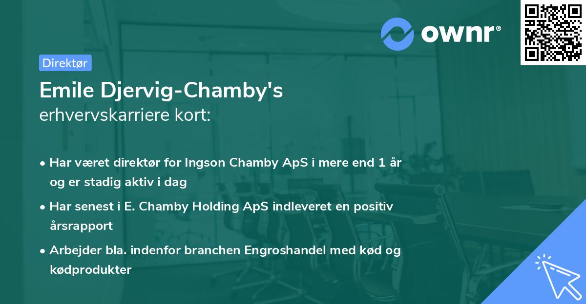 Emile Djervig-Chamby's erhvervskarriere kort