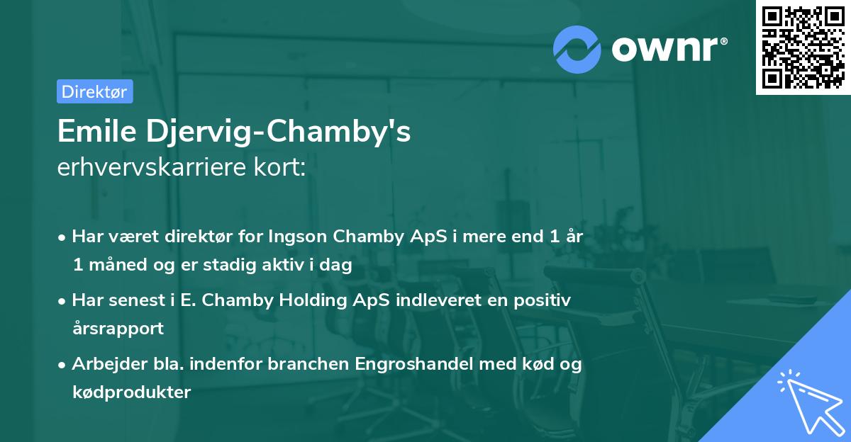 Emile Djervig-Chamby's erhvervskarriere kort