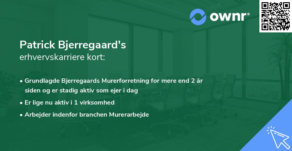 Patrick Bjerregaard's erhvervskarriere kort
