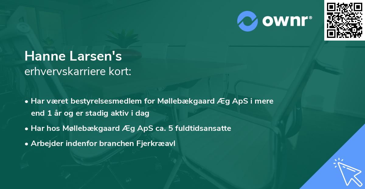 Hanne Larsen's erhvervskarriere kort