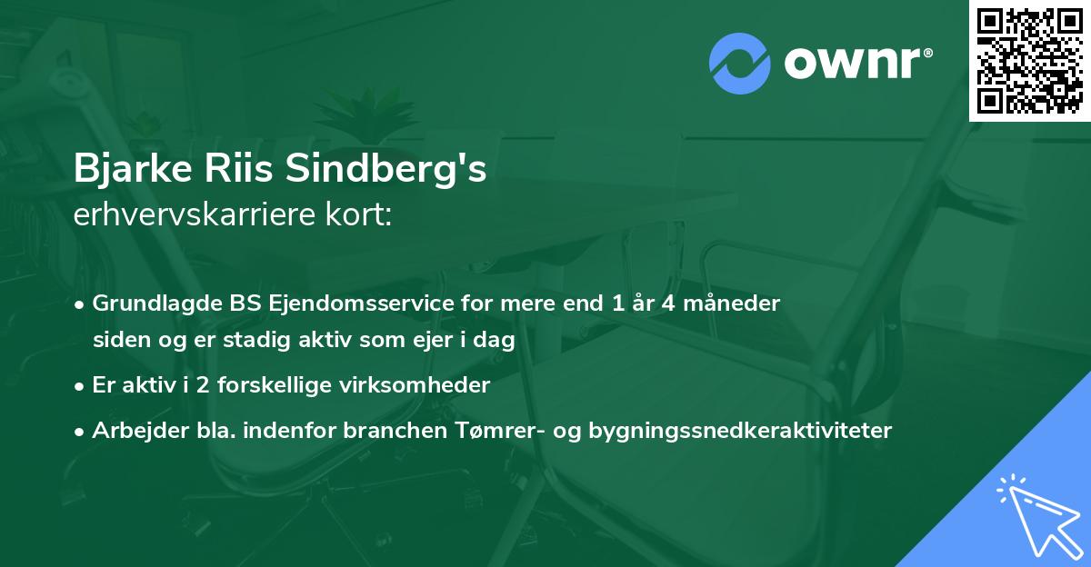 Bjarke Riis Sindberg's erhvervskarriere kort