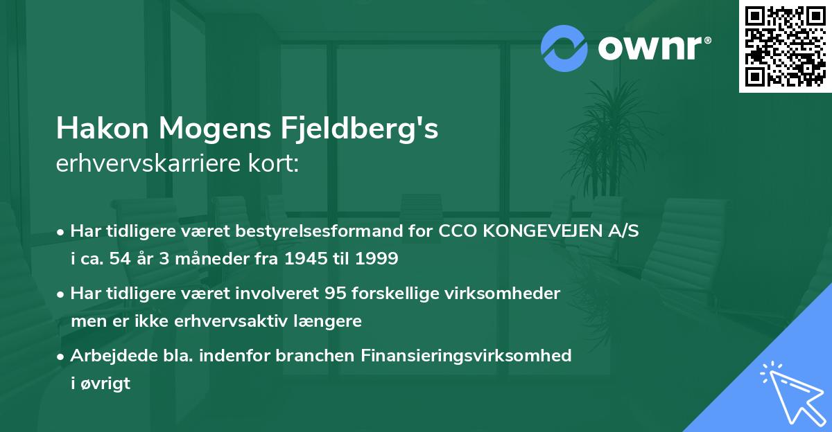 Hakon Mogens Fjeldberg's erhvervskarriere kort