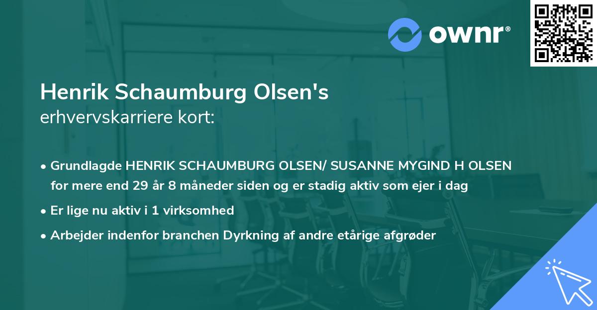 Henrik Schaumburg Olsen's erhvervskarriere kort