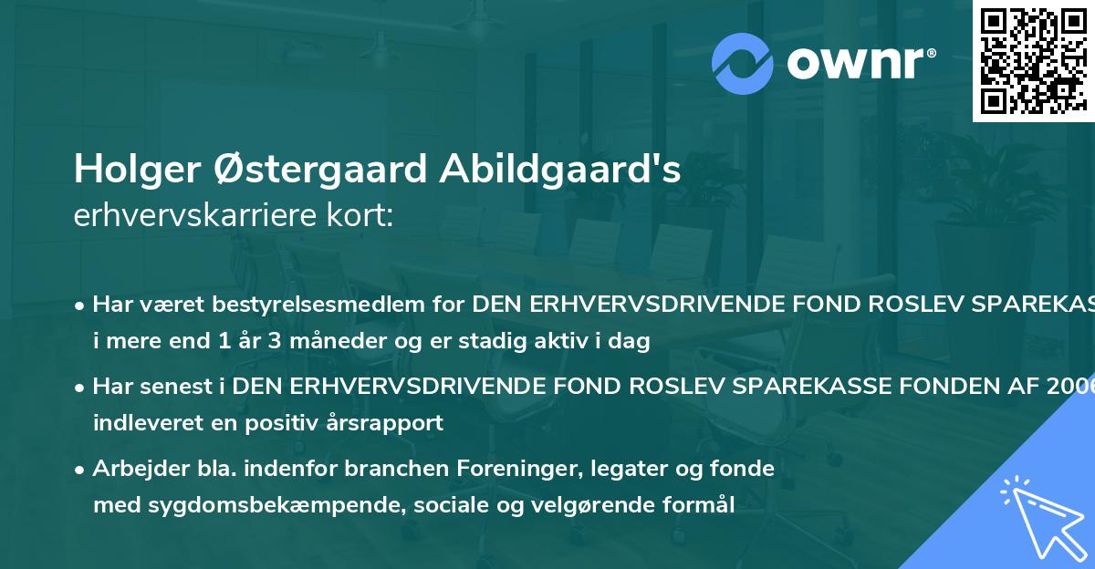 Holger Østergaard Abildgaard's erhvervskarriere kort